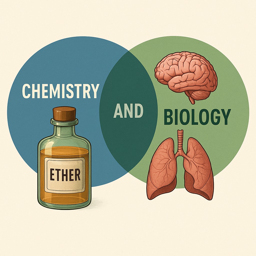 Brain-Neural Chemistry